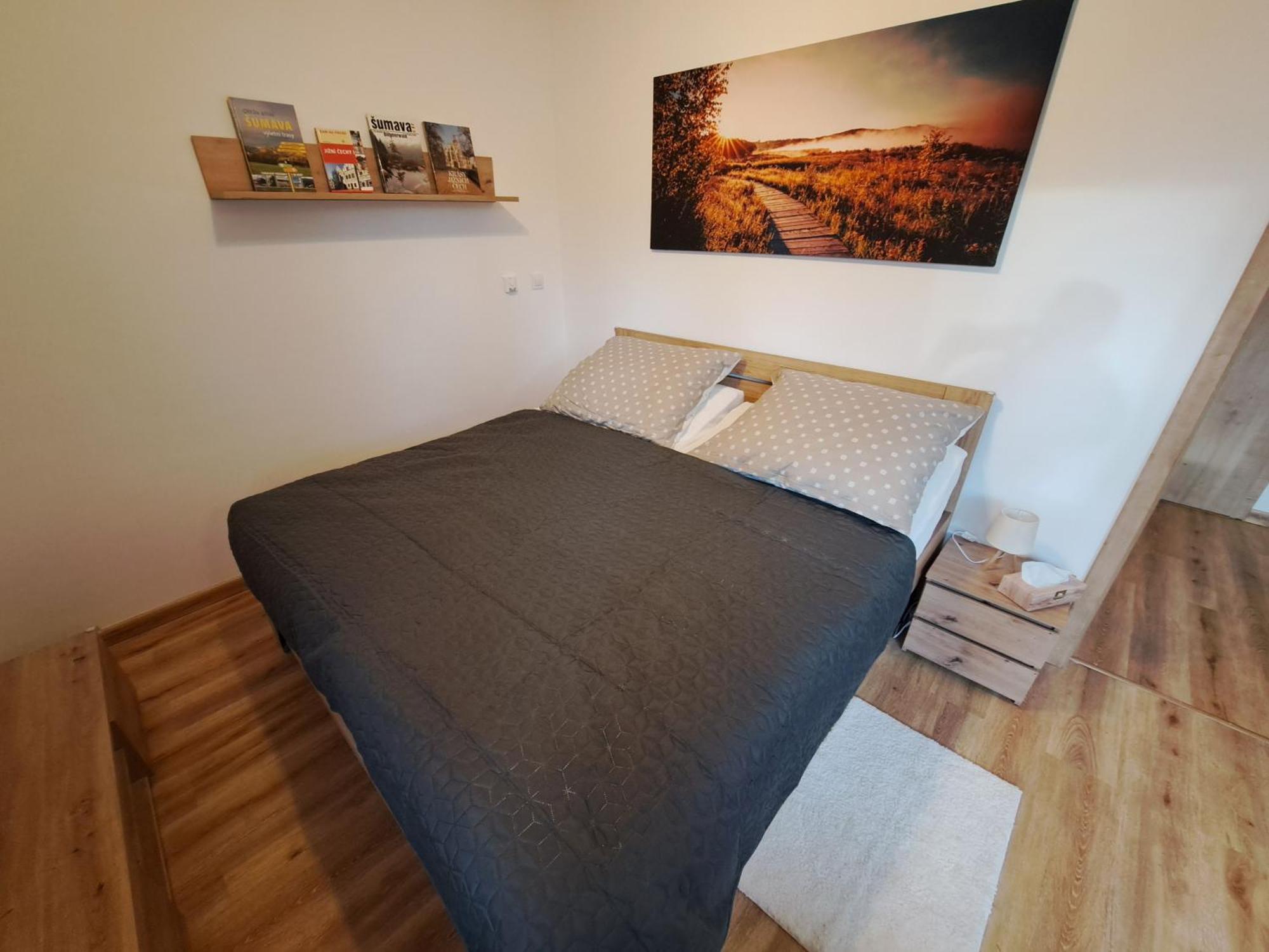Apartmany - Male Lipno Černá v Pošumaví Quarto foto
